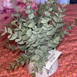 Green Faux Eucalyptus in White Pot: Dorm Decor!